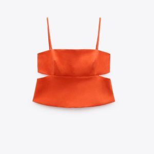 NWT ZARA cut out crop top
